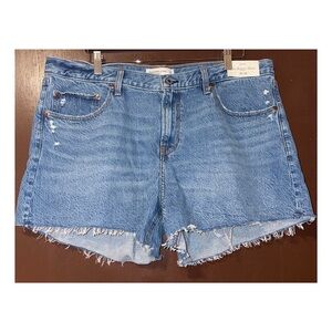 Abercrombie & Fitch The Baggy Shorts (Size 16)